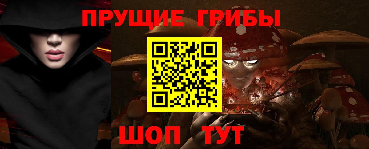 Гусев  Псилоцибиновые грибы мицелий  Вход с VPN 
