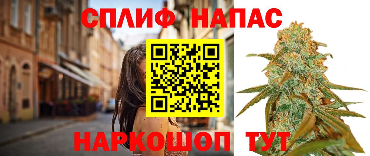 Шишки марихуана планчик Гусев